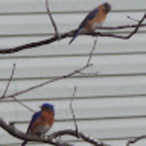 Meet your Posher, Jacki